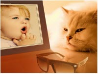 cat photo frame